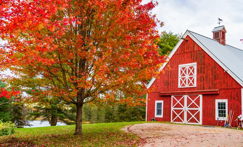 Barn Renovation in Wilmington, NC