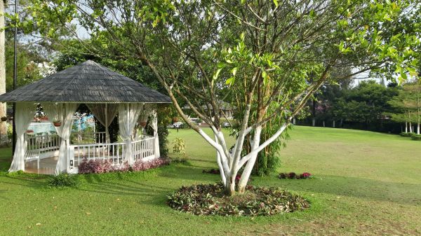 Grow your Backyard Gazebo Assembly business